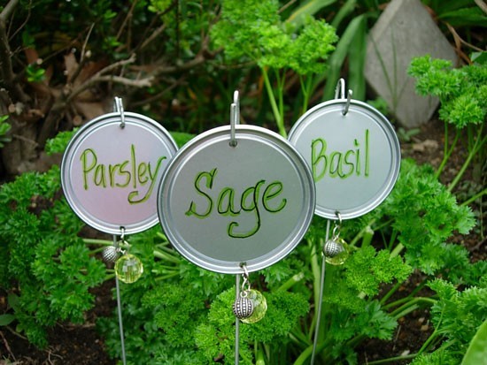 plant marker